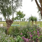 In Duinbergen Near The * Knokke-Heist