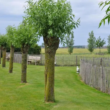 In Duinbergen Near The Knokke-Heist