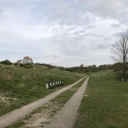 In Duinbergen Near The