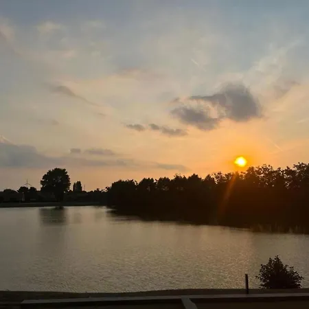 In Duinbergen Near The Apartment