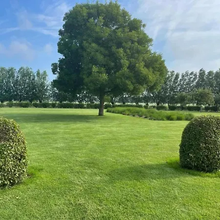 아파트 In Duinbergen Near The *