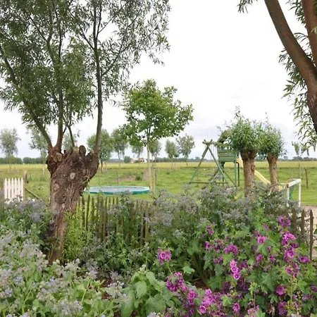 In Duinbergen Near The * קנוקה-הייסט