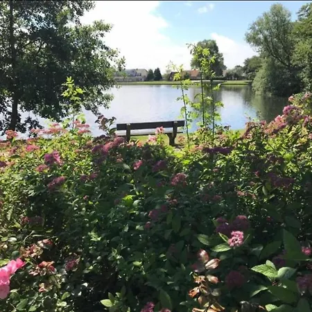 In Duinbergen Near The * 크노케-하이스트