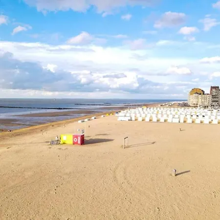 Apartment In Duinbergen Near The