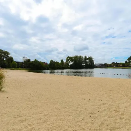 In Duinbergen Near The