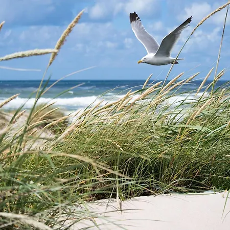 In Duinbergen Near The 아파트