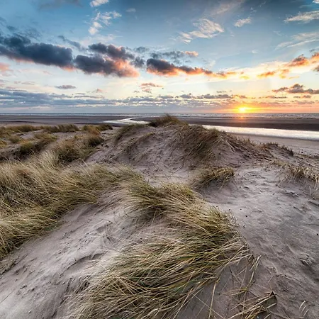 In Duinbergen Near The *