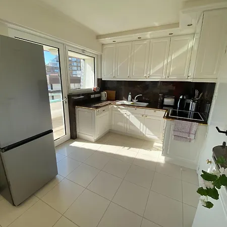 In Duinbergen Near The *